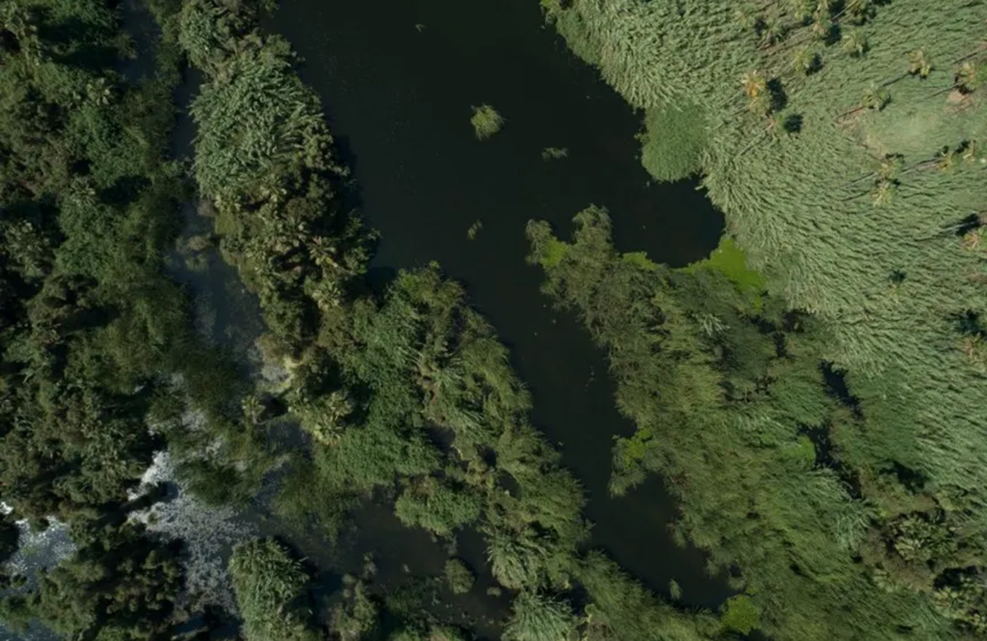 minería responsable, minería sostenible, minería ética, México, desarrollo social, impacto ambiental, recursos naturales, comunidades locales